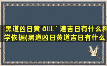 黑道凶日黄 🌴 道吉日有什么科学依据(黑道凶日黄道吉日有什么科学依据吗)